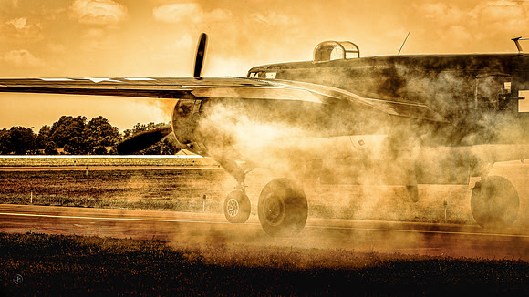 Where Courage Takes Wings