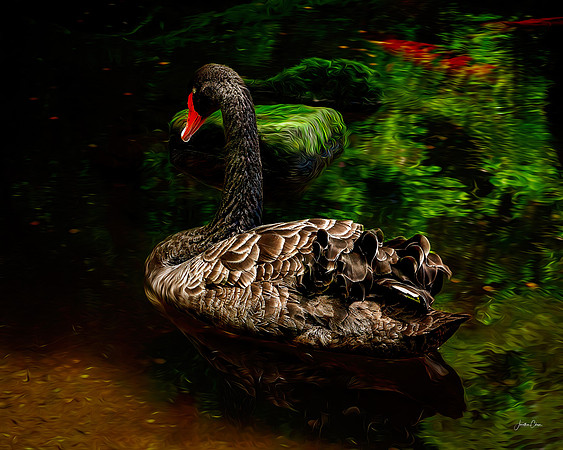 Embroidered by Water - MASTER - 2 4 2026