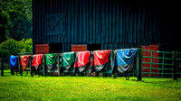 Laundry Day - MASTER - Color - 2 7 2026