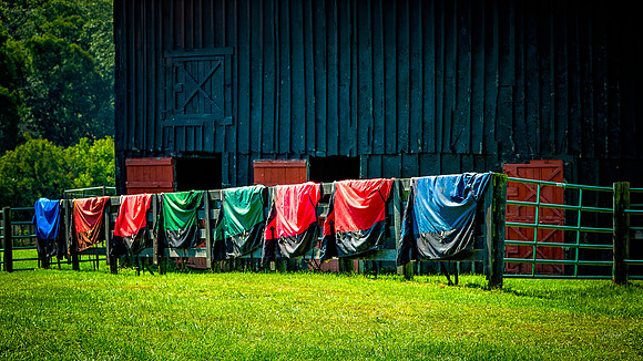 Laundry Day - MASTER - Color - 2 7 2026