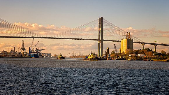 Savannah Tugs