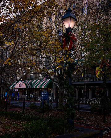 Savannah Streetlight