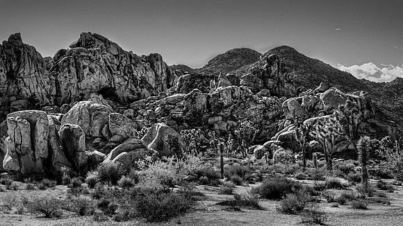 JTNP - MASTER - BW - 2 18 2026