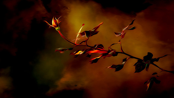 A Rose Bud - MASTER - Color - 2 18 2026)