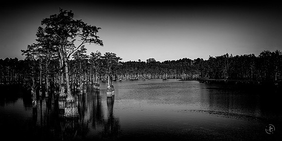 GMSP - 1464 - BW - 11 07 2025 (1 of 1)