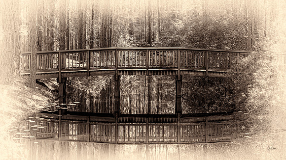 Quiet Reflections (1 of 1)