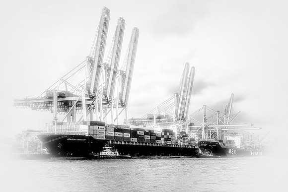Savannah in the Fog - MASTER - BW - 2 18 2026 (1 of 1)