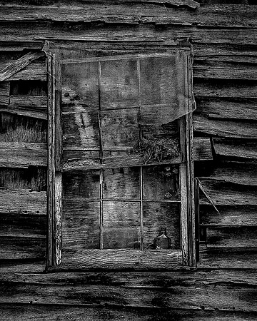 Seen it All (1 of 1)