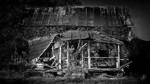 What Remains (1 of 1)