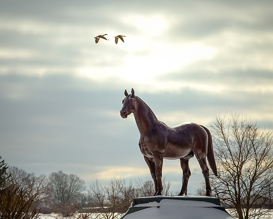 Man O' War