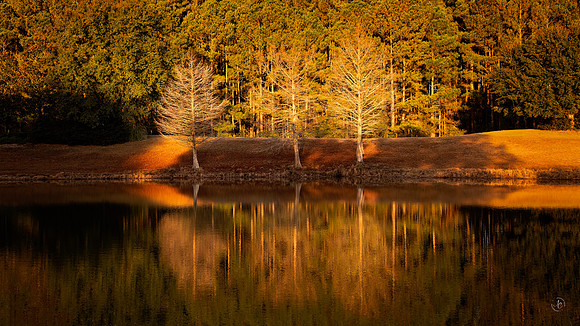 Early Morning Light - 1 9 2023
