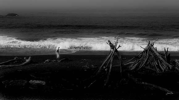 Where Silence Walks - Moonstone Beach