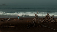 Where Silence Walks - Moonstone Beach