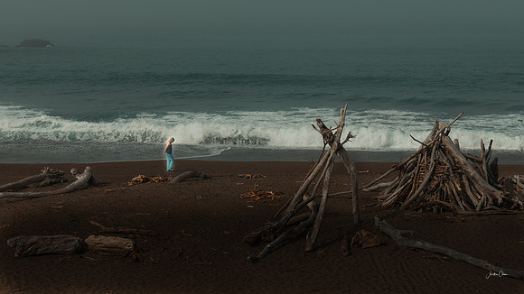 Where Silence Walks - Moonstone Beach