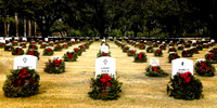 Rows of Honor