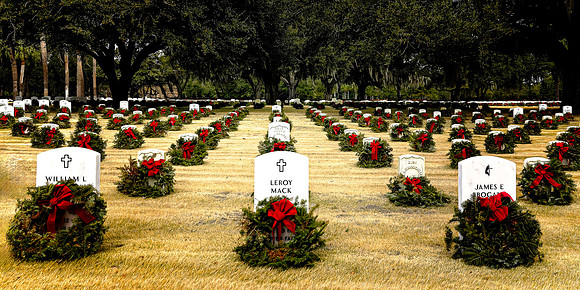 Rows of Honor