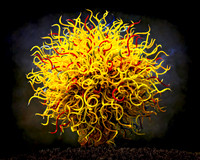 Chihuly Garden and Glass