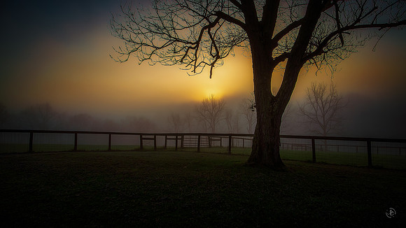 Sunrise on a foggy Morning