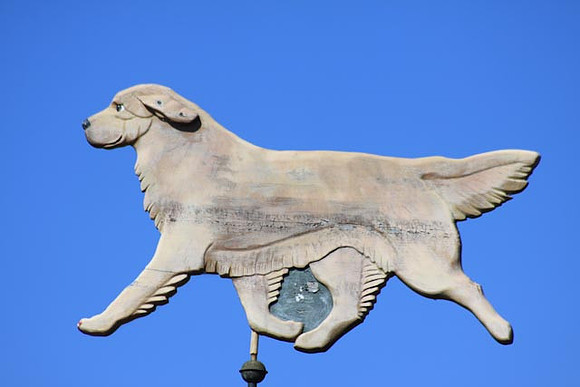 Decker windvane