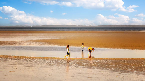 Tidal Pools Inspired by Norman Rockwell