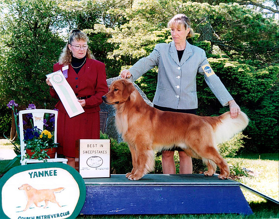 Bayley - BISS YGRC Jun 01