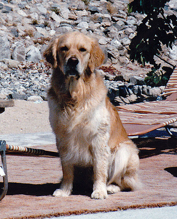 Andy by the pool in 29 Palms