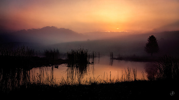 Sunrise over the duck pond