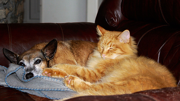 Thomas & Sam