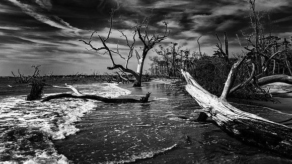 Boneyard Beach, South Carolina