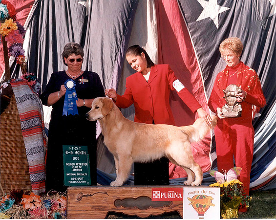 Ryan - 1st GRCA National Specialty 01