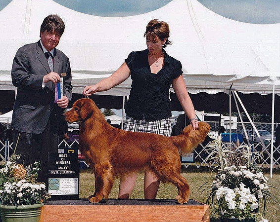 Cane - New Champion