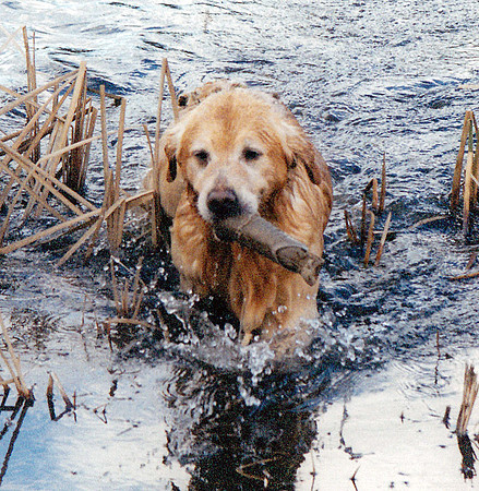 CLOUD RETRIEVING FM WATER