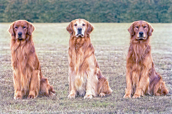 Rebel, Decker & Joseydit