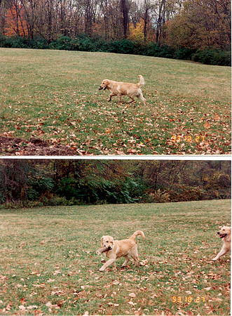 Cloud - 7 months 2