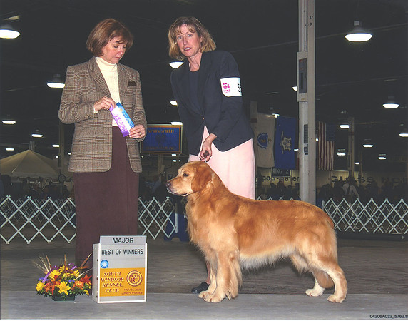 Ryan - WD BOW - SWDC - Nov 04