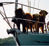 Star, Nikki, Beatrice & Andy cruising on September Morn - 1991