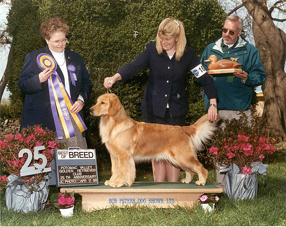Sissy - BOB PVGRC Apr 99