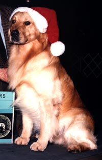 Cloud Christmas o3