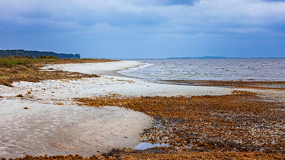 Fish Haul Beach Landscape - 5 10 2023