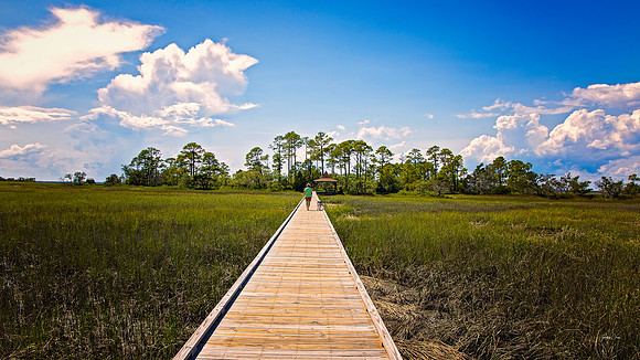 Hunting Island State Park -  5 15 2022