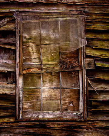 Window - Dog Patch Road