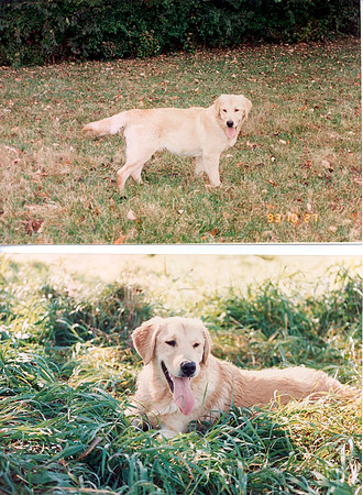 Cloud - 7 months