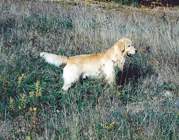 CLOUD IN THE FIELD