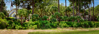 Palmetto Bluff - 3 image Pano - Fine Art