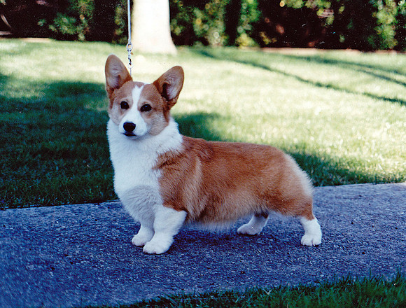 REBECCA At 5 months