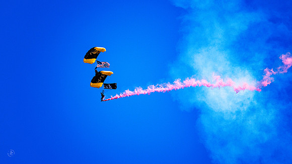Para-Commandos w Flags -