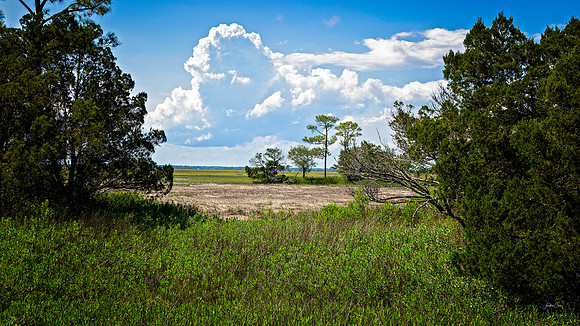 Hunting Island State Park  - 5 15 2022