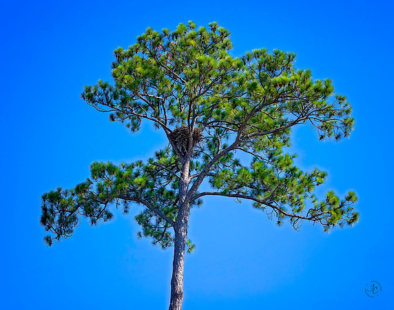 Eagles Nest - 9 21 2022