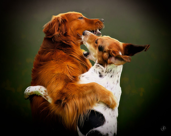 Cane & Ike
