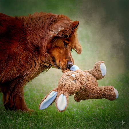 Cane & his Stuffie